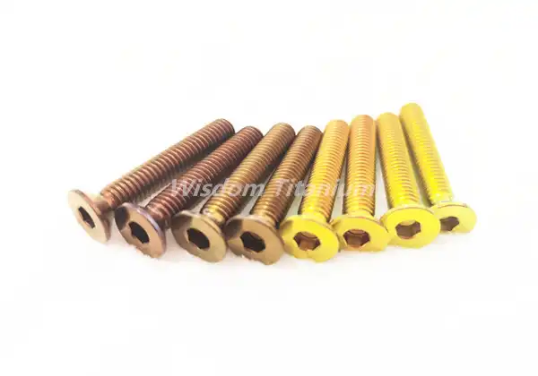 Titanium Flat Head Bolts for Bikes